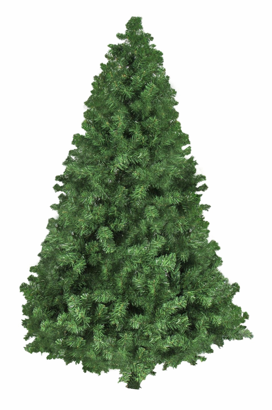 Download Png Image Report Pine Tree