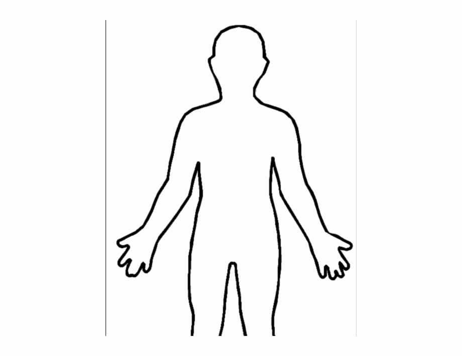 human body drawing outline