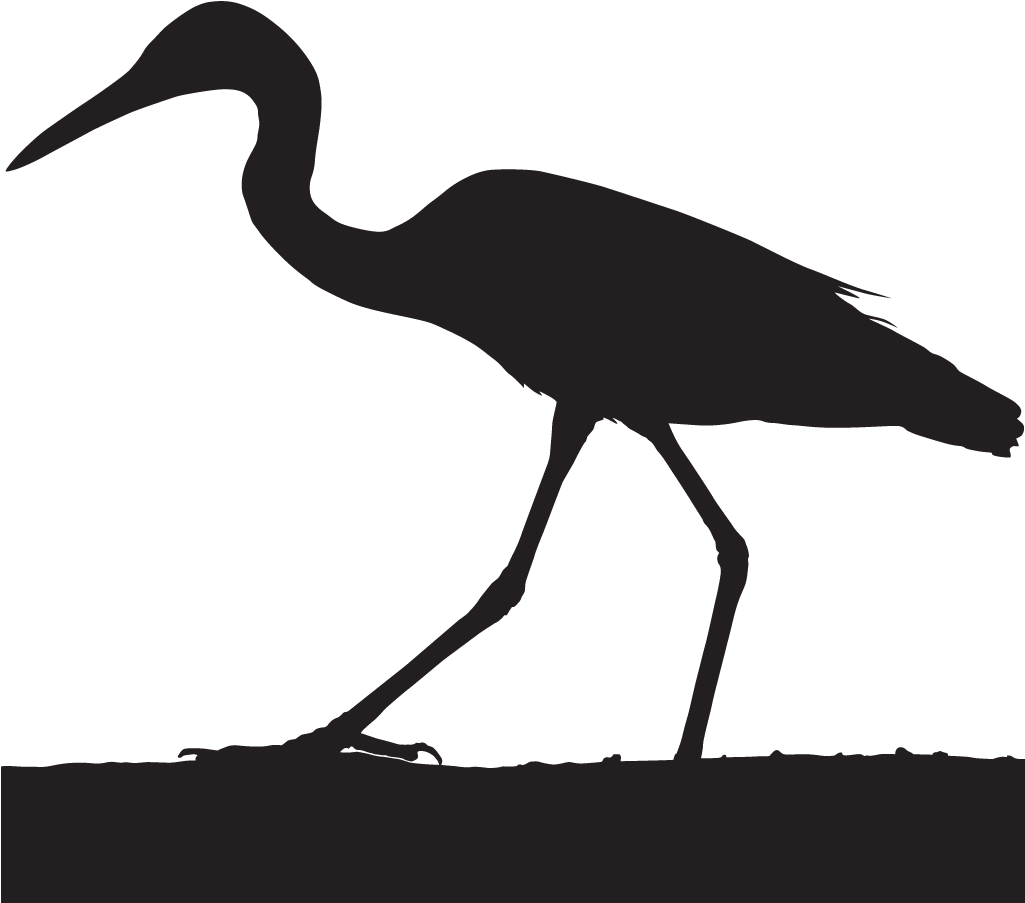 Cattle Egret Crane Bird Head Silhouette