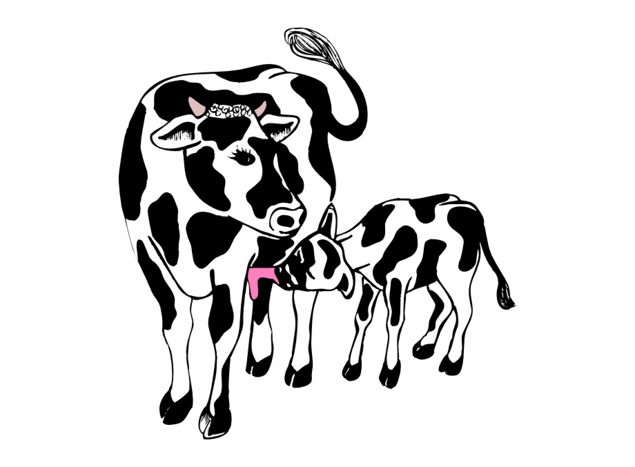 Cow Silhouette Cattle Silhouette Clipart Kid