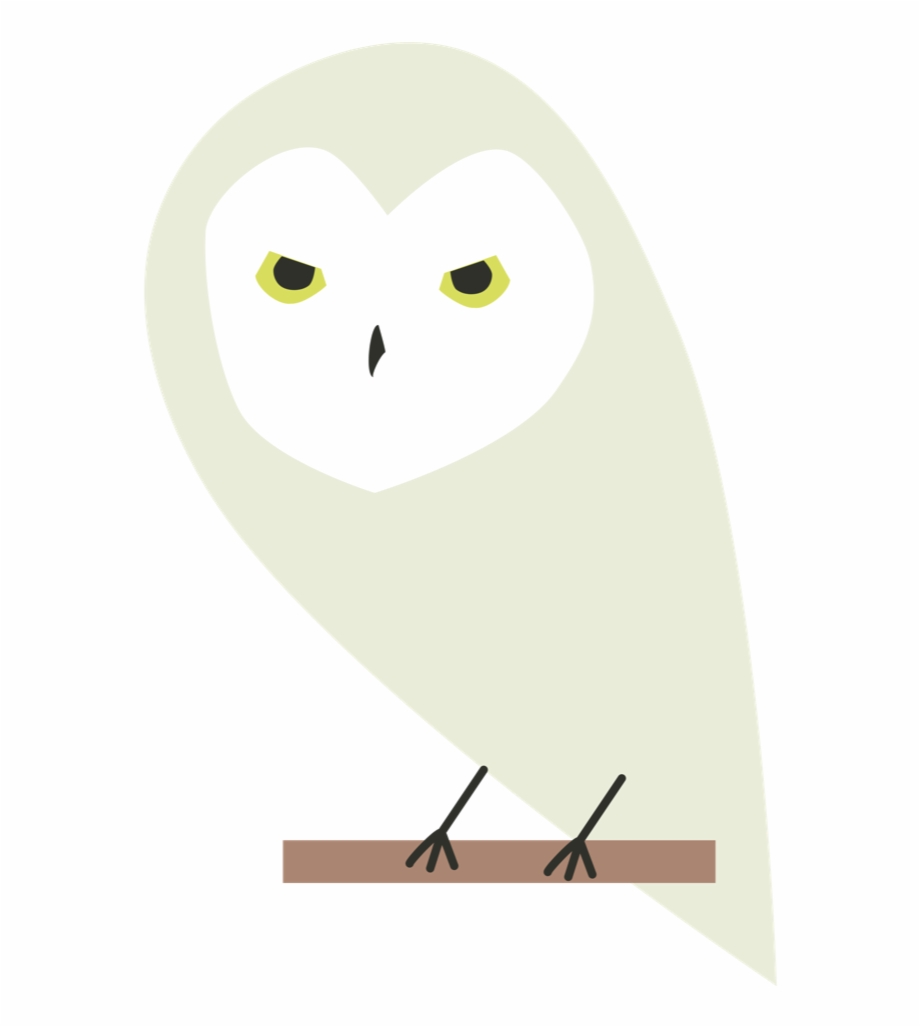 Nick Comben Gryffindor Snowy Owl
