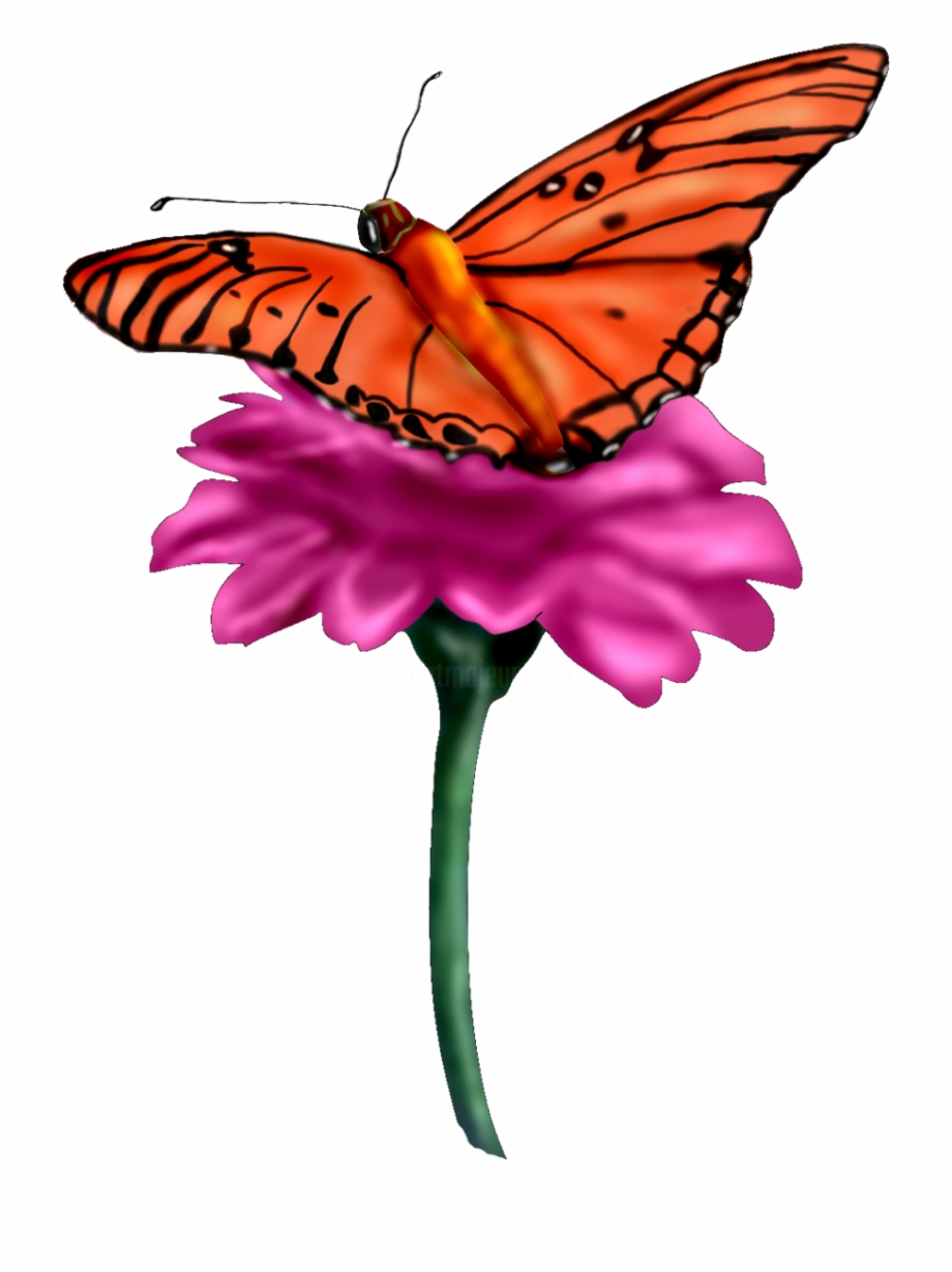 Borboleta Painting Monarch Butterfly