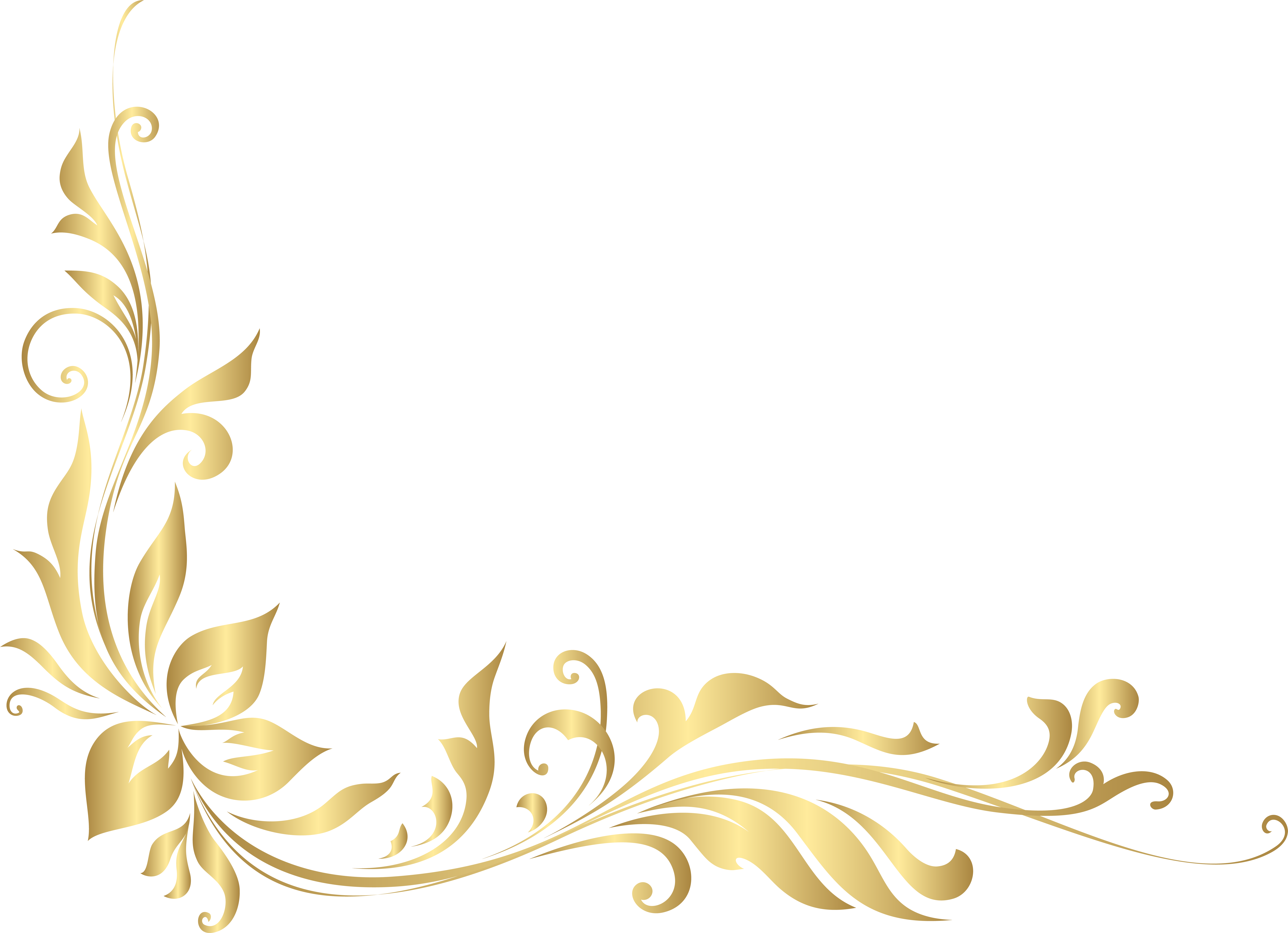 Banner Library Stock Golden Floral Decoration Transparent Golden