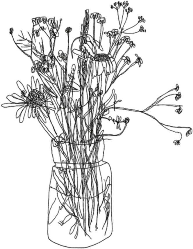 tumblr transparent flower drawing