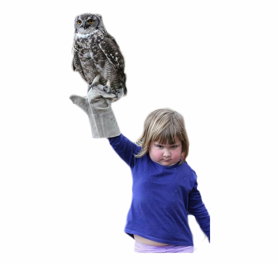 Personan Angry Girl Holding An Owl Girl Holding