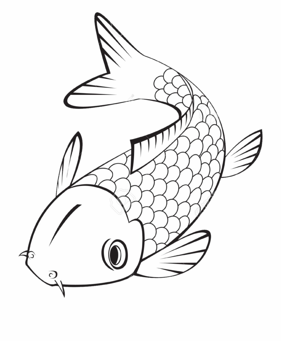 Ceramic Fish Koi Fish Clipart Black And White