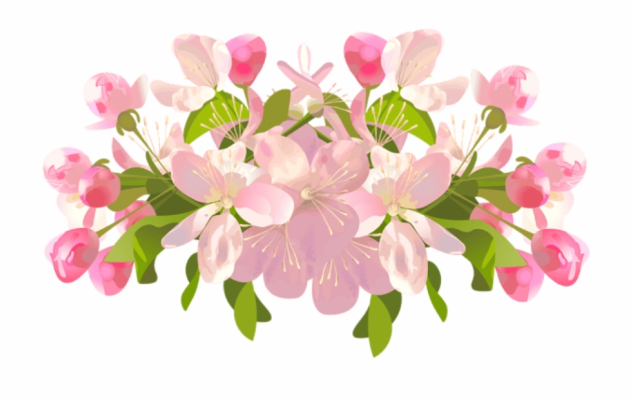 transparent background spring flowers clipart
