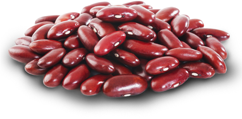 Kidney Beans Png Fasola Czerwona