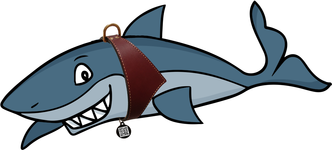 Sharky In His Shark Fin Leather Dog Collar