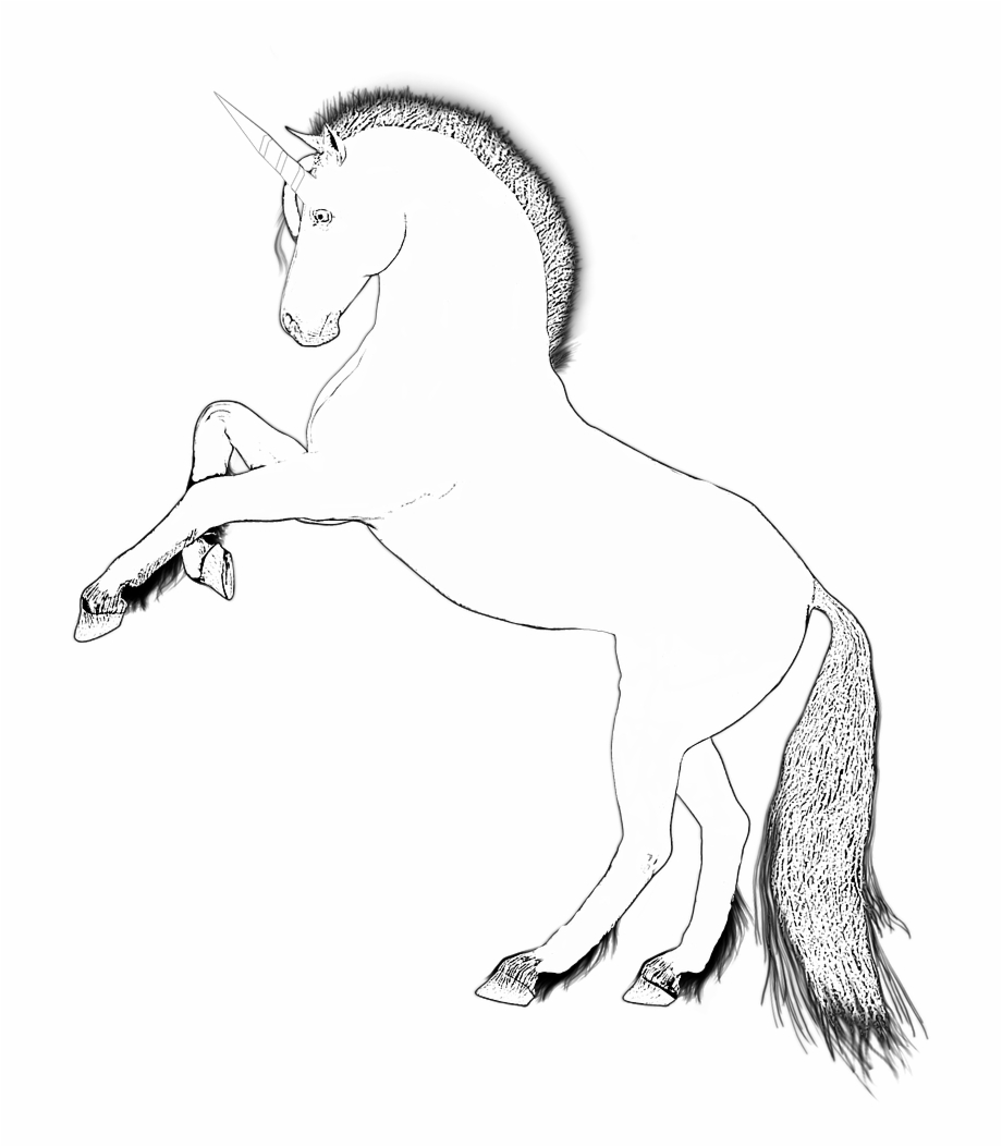 Unicorn Design Horse Fairytale Png Image Unicorn White