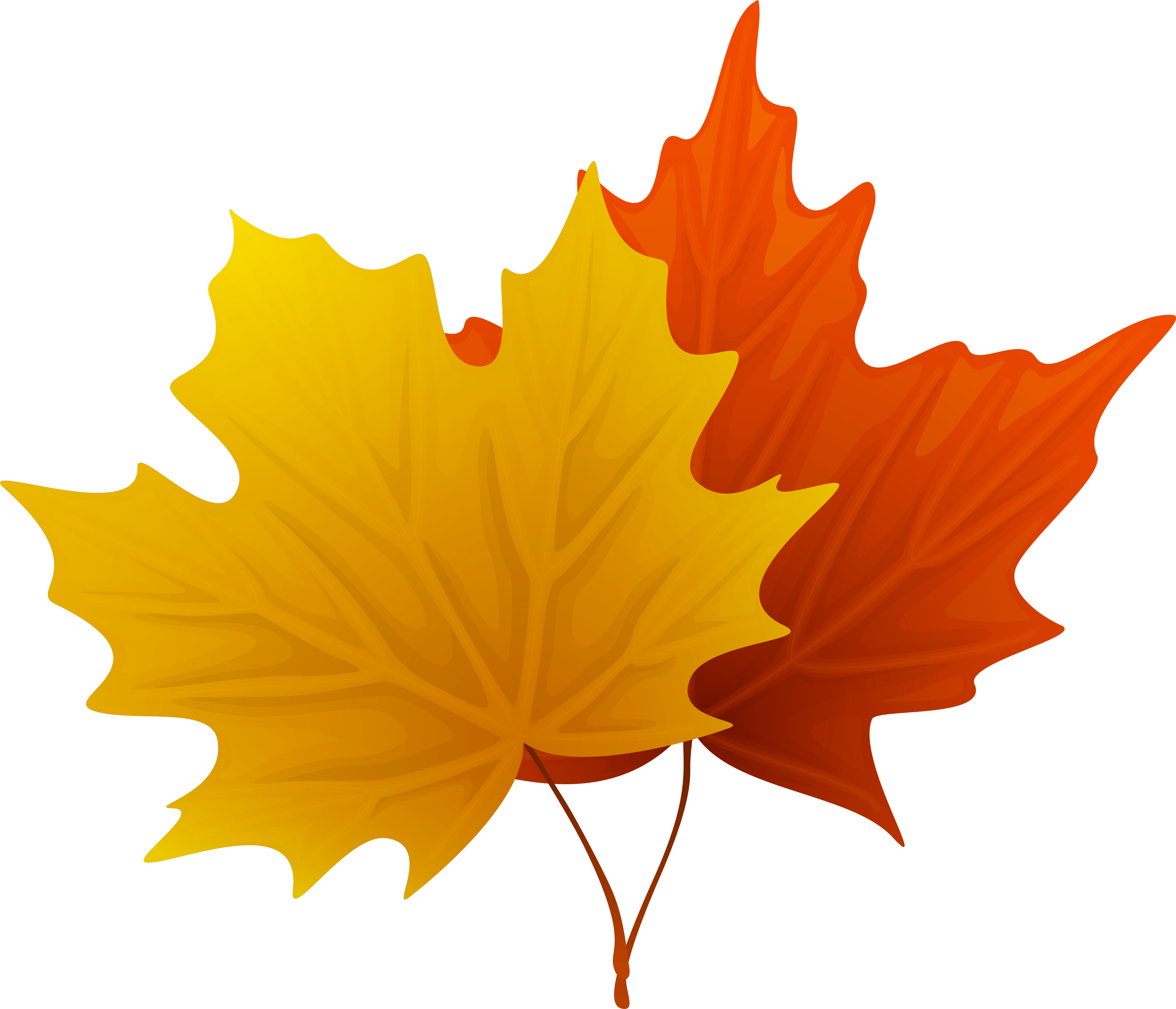Fall Maple Leaves Png Decorative Clipart Imageu200b Herbst