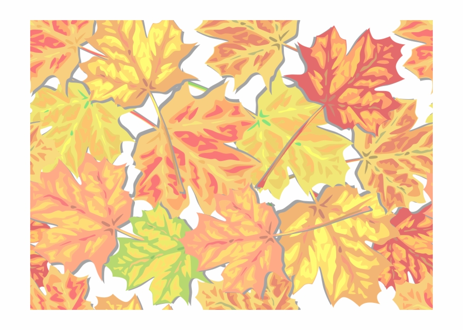 Free Fall Leaves Fall Leaves Clip Art Background