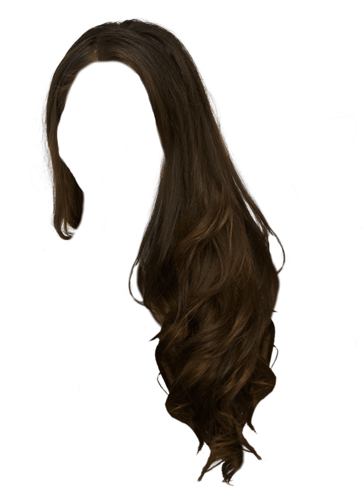 Free Hair Bun Png, Download Free Hair Bun Png png images, Free ClipArts on  Clipart Library