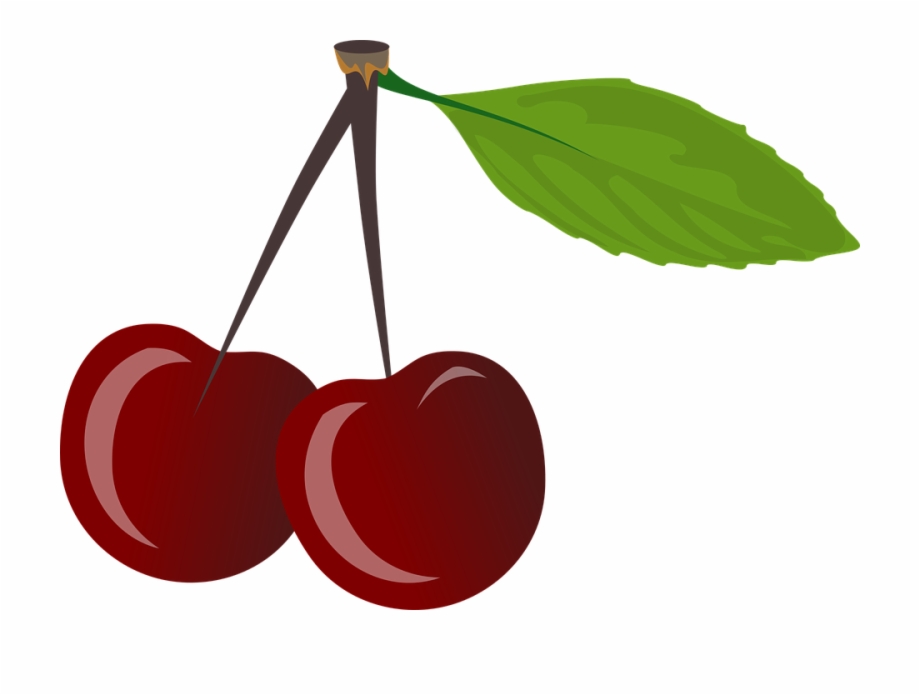 Brace Cherries Cherry Cherries Clipart