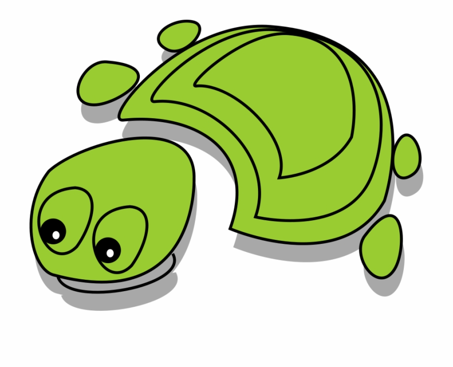Tortoise Png Tortoise Cartoon