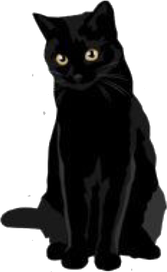 black cat transparent background
