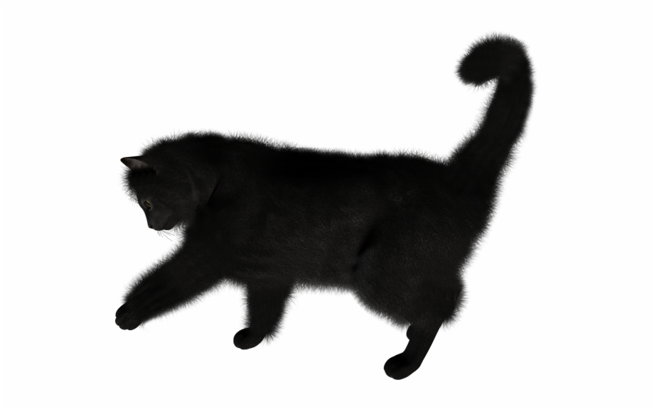 Black Cat Png Cliprt Transparent Background Black Cat