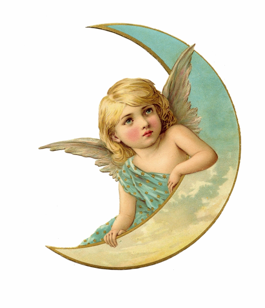 Baby Angel Png Image Angel Png