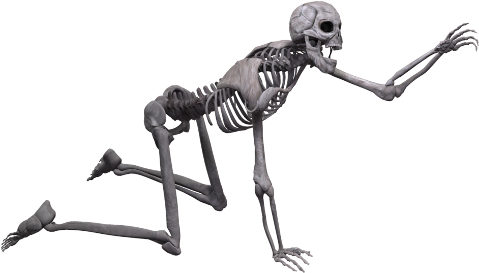 Full Body Skeleton Png Picture Laughing Skeleton Png