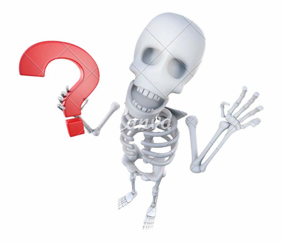 Funny Skeleton Png Transparent Background Skeleton Reading A