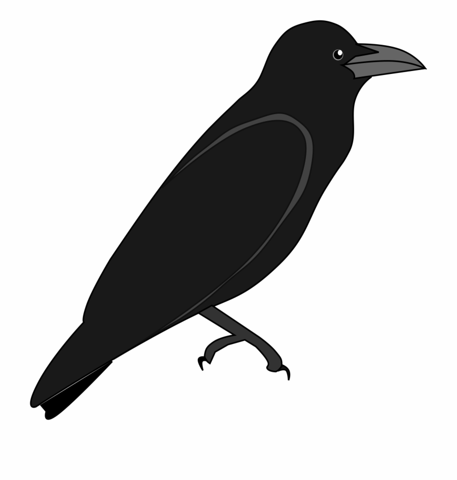 Clip Art Outline Images Of Crow