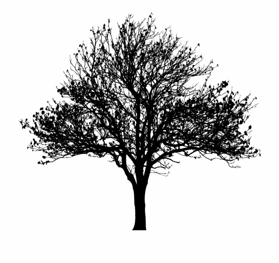 Silhouette Tree Png Free