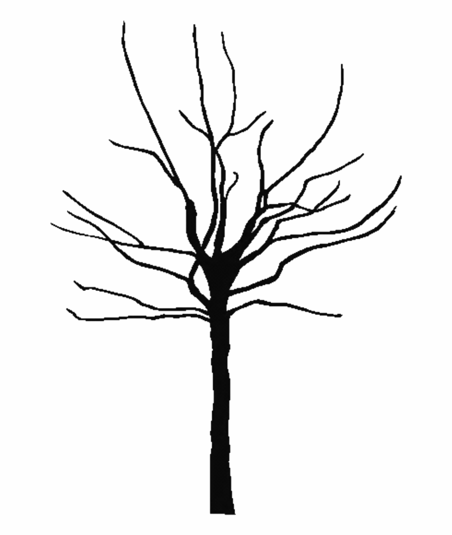 Tree Trunk Silhouette Png