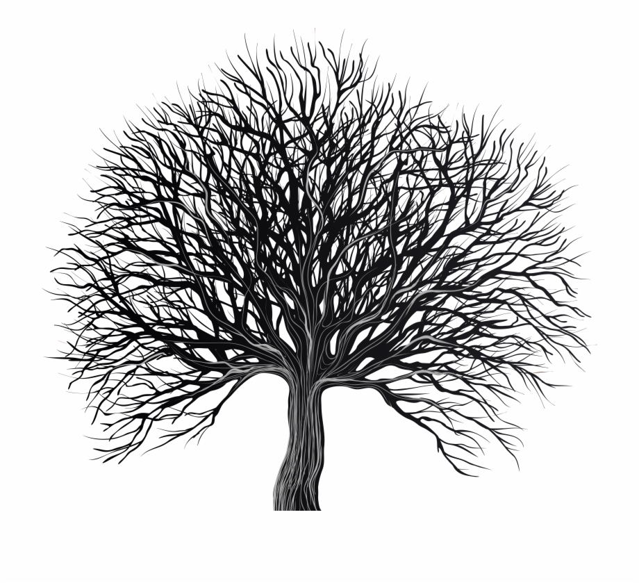 Black And White Tree Png Transparent Background