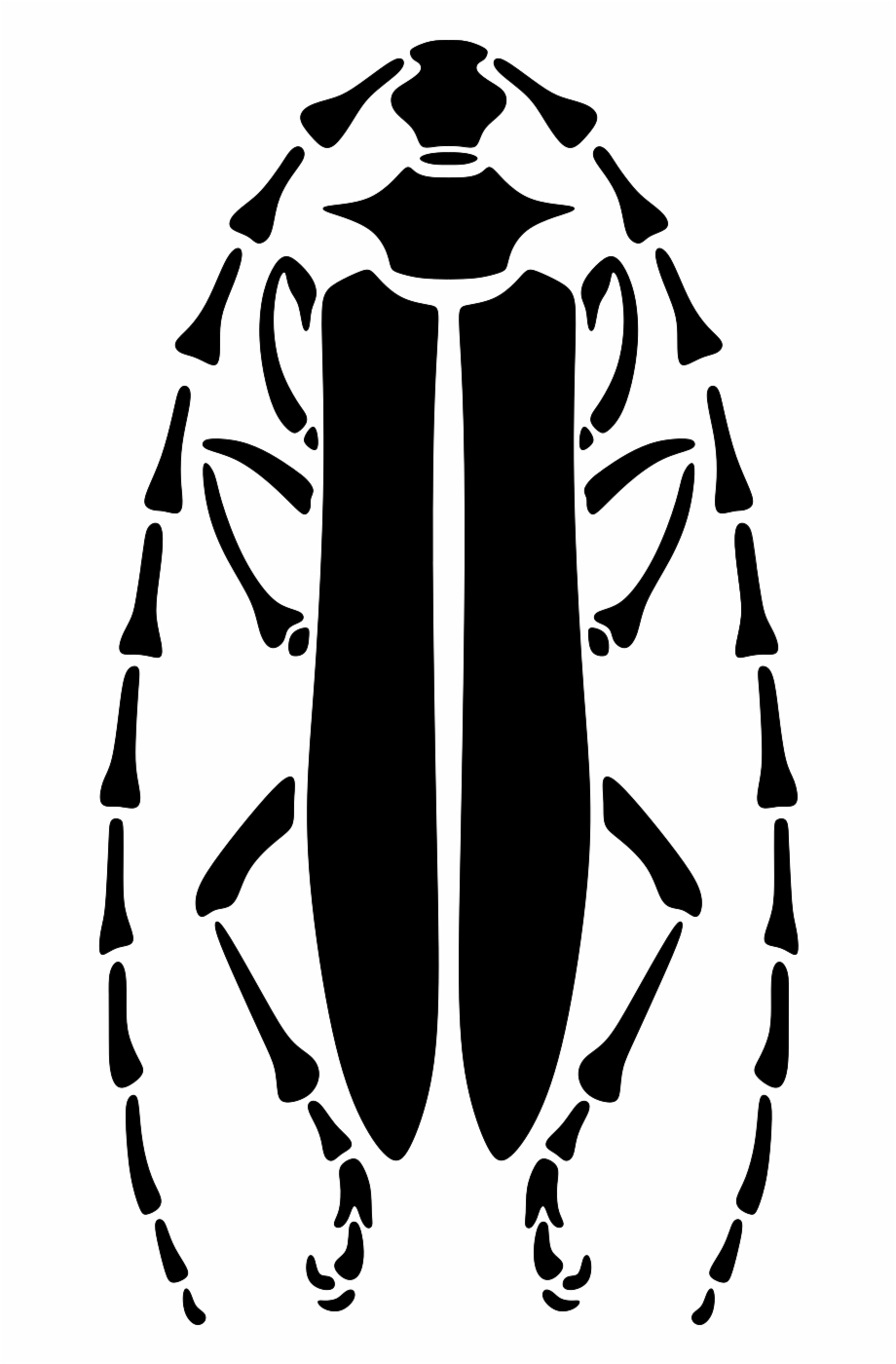 Longhorn Beetle Stencil Pattern Longhorn Beetle Drawing