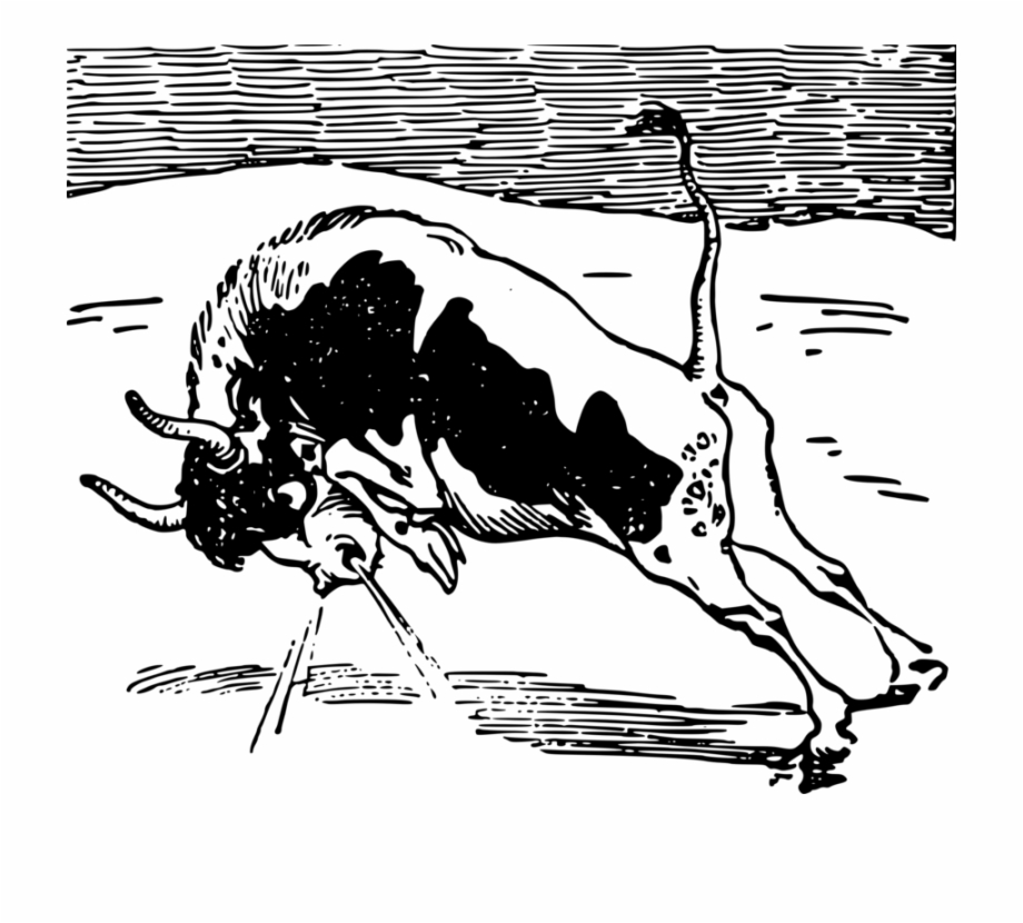 Baka Ox Hereford Cattle Texas Longhorn Bull Illustration