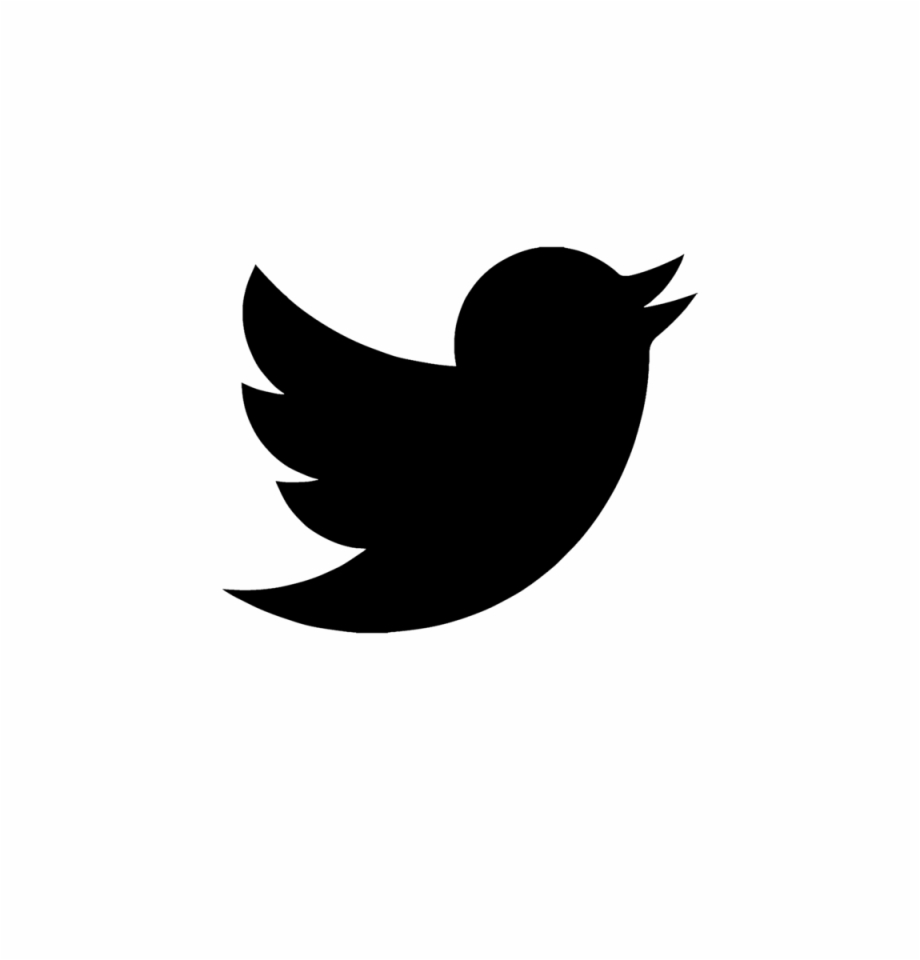 Twitter Icon Twitter Black Logo Png Transparent