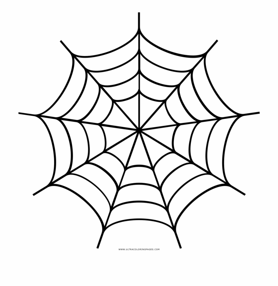 spider web clipart black and white
