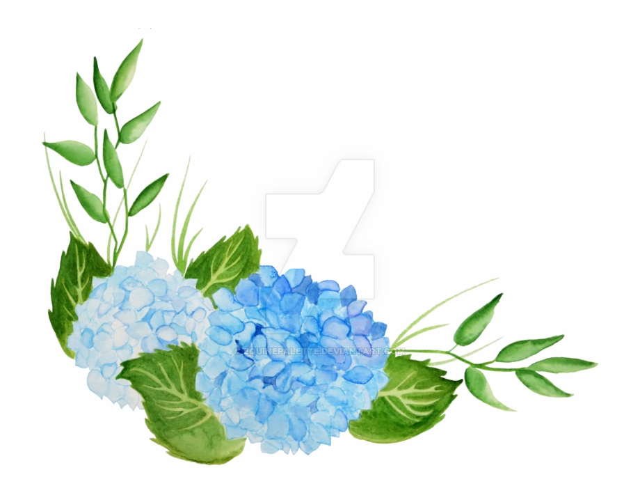 Blue Hydrangea Watercolor Png