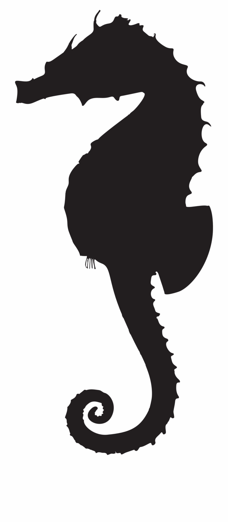 Clipart Black And White Seahorse Clipart