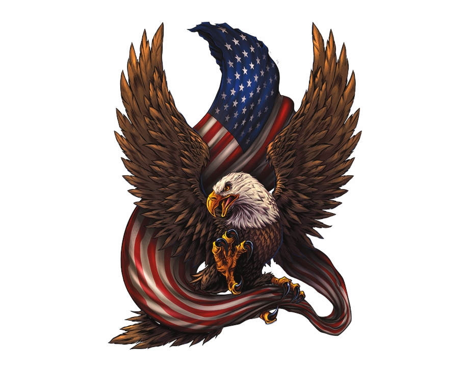 eagle american flag
