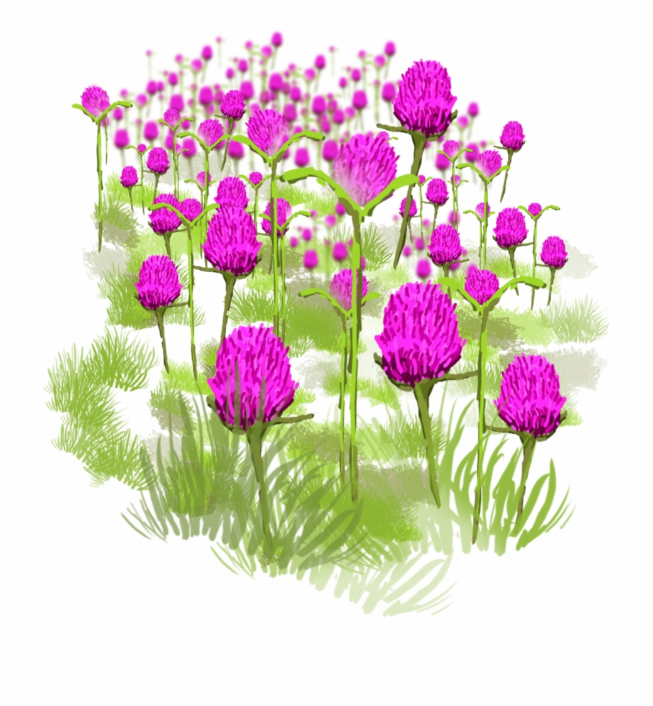 Plant Flowers Elements Purple Png And Psd
