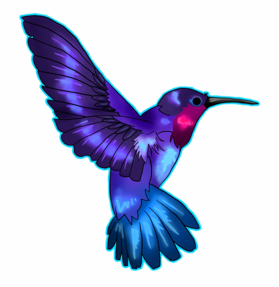 Hummingbird Tattoo Designs Hummingbird Transparent