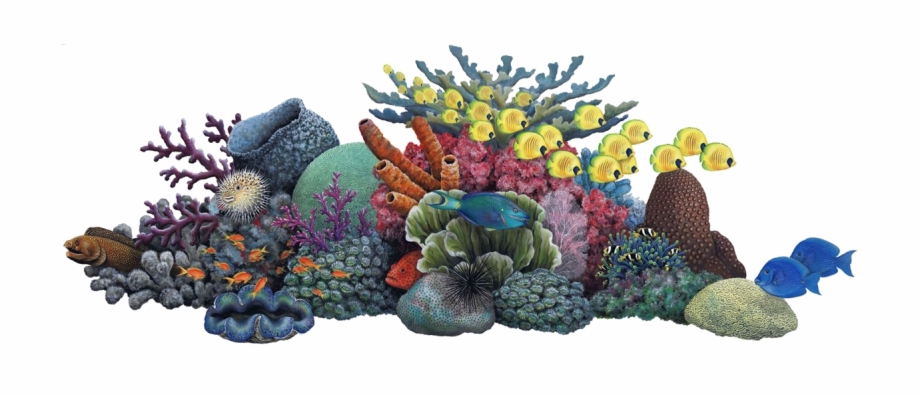 Coral Reef Clip Art