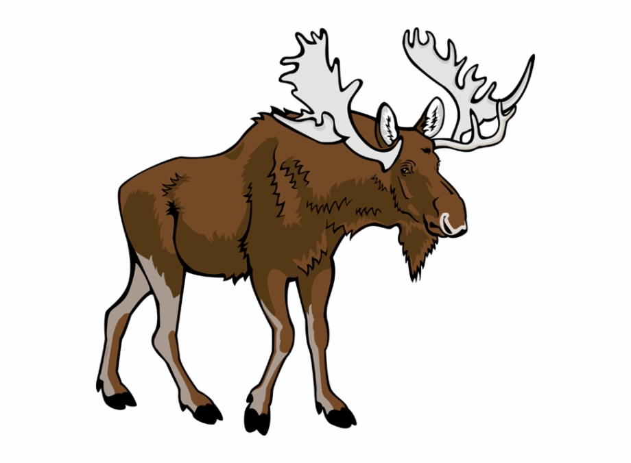 transparent background moose clipart
