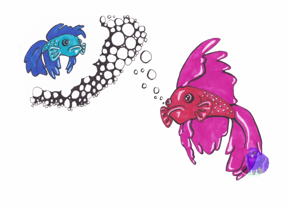 So Betta Fish Are My Favorite Fish Illustration - Clip Art Library