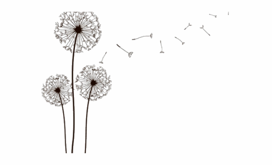 Dandelion Clipart Pinterest Dandelion Clock Line Drawing