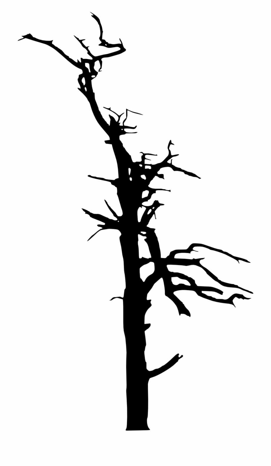 royalty free burnt tree silhouette
