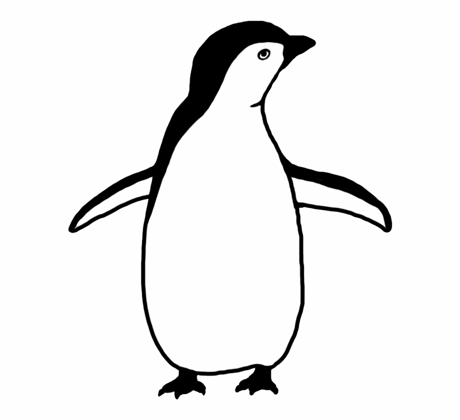 penguins black and white
