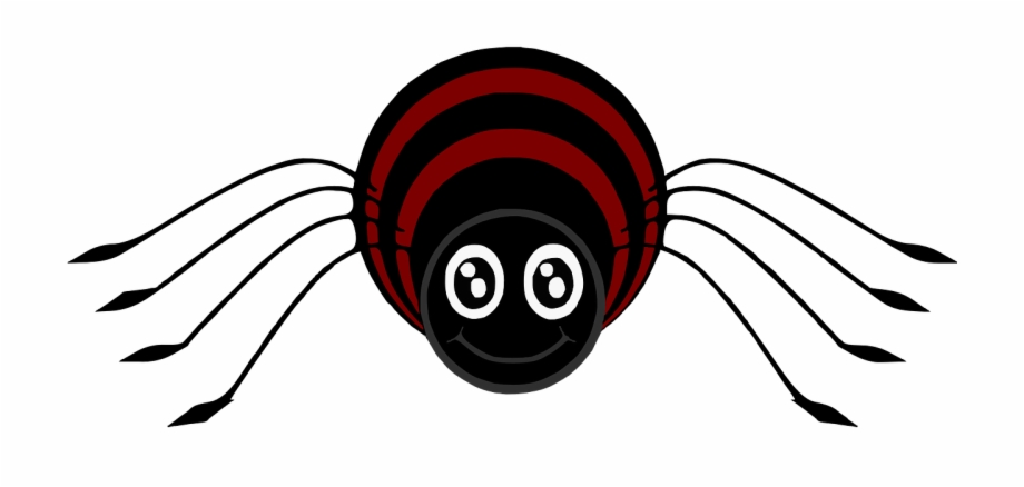 Insects Spider Clipart Cartoon Spider