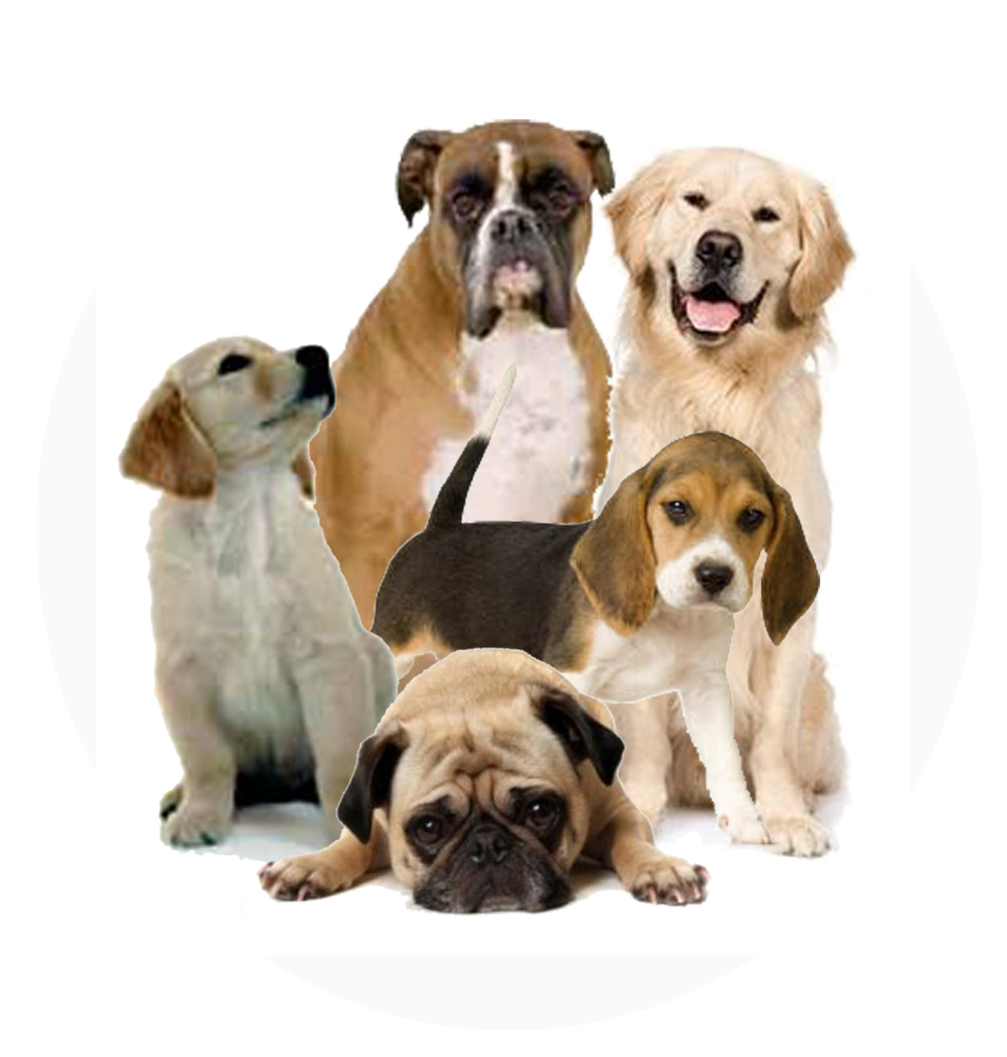 Dogs Png Clip Art Library