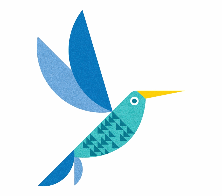 Vector Illustrations Developed For The 2015 Calendar Hummingbird