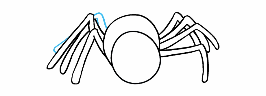 How To Draw Cartoon Spider Spider Black And