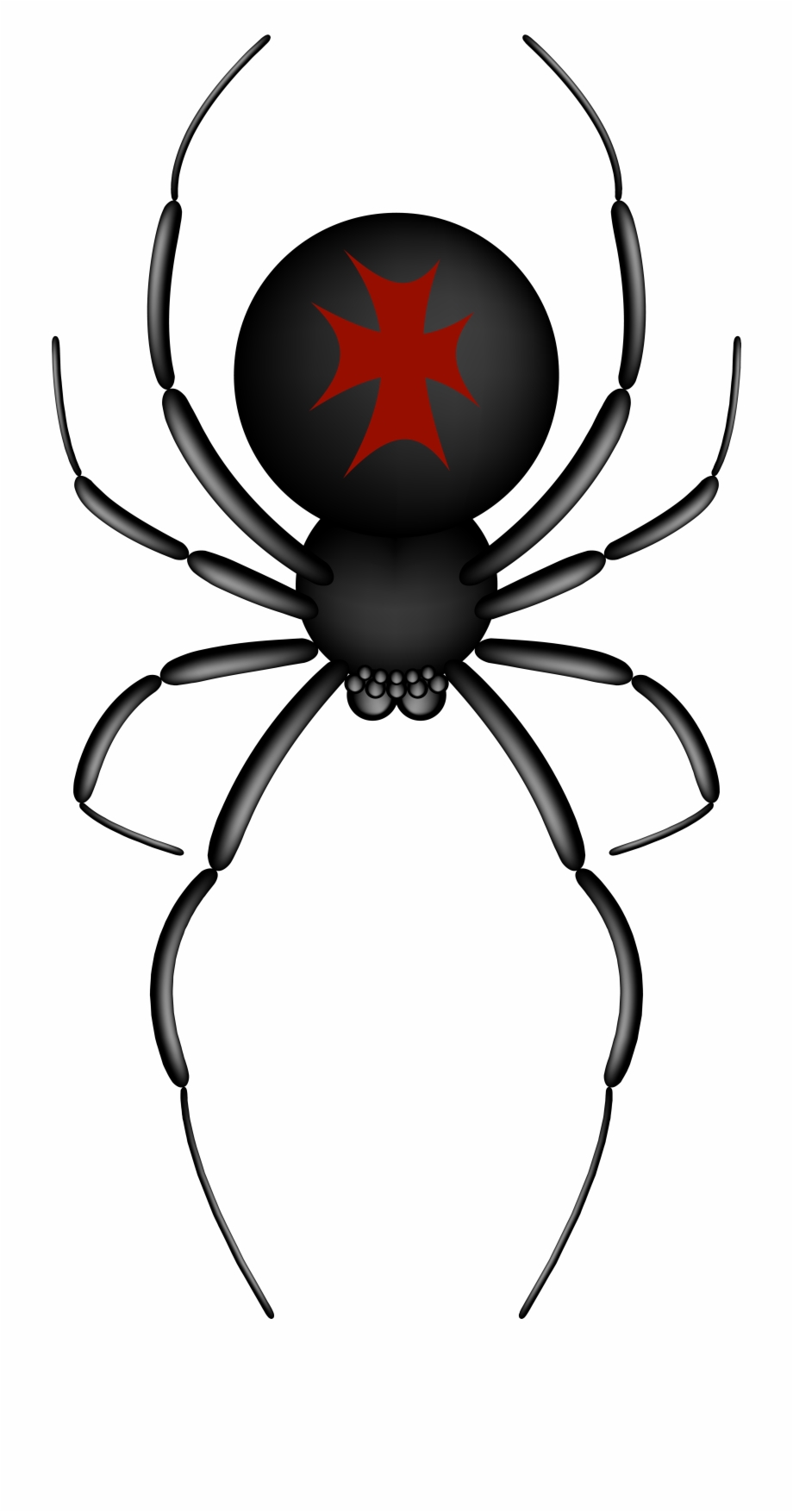 Crusader Spider Transparent Png Clip Art Image Transparent