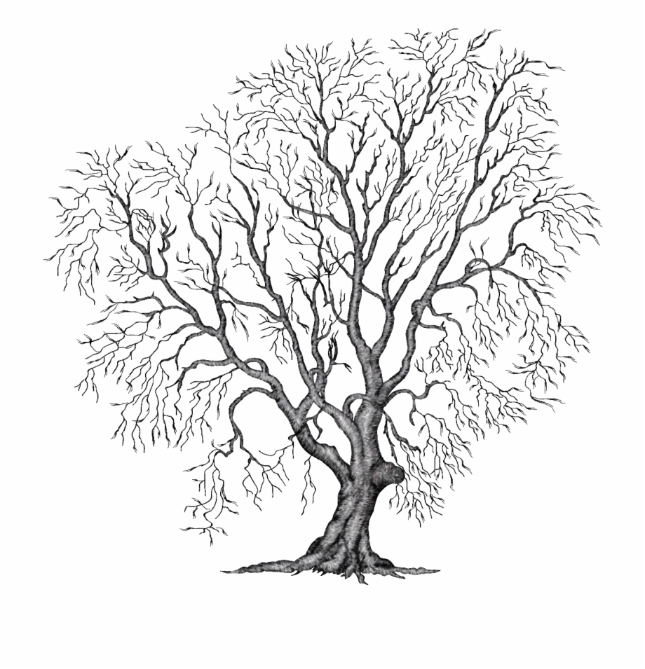 Painting Tree Clipart Illustration Png File Autumn Winter