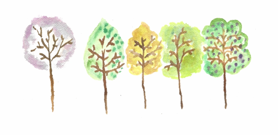 Watercolor Trees Colored Pond Pine